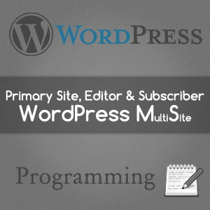 Automatic Primary Site in WordPress Multisite