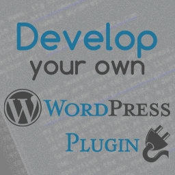 wp-content/uploads/2012/06/develop-your-own-wp-plugin.png