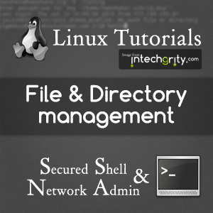 Directory and File Management in Linux