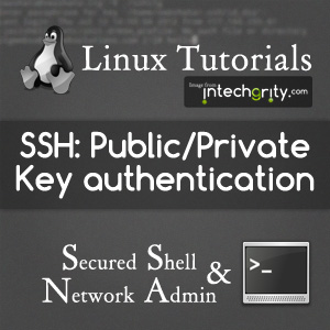 SSH Keys Login